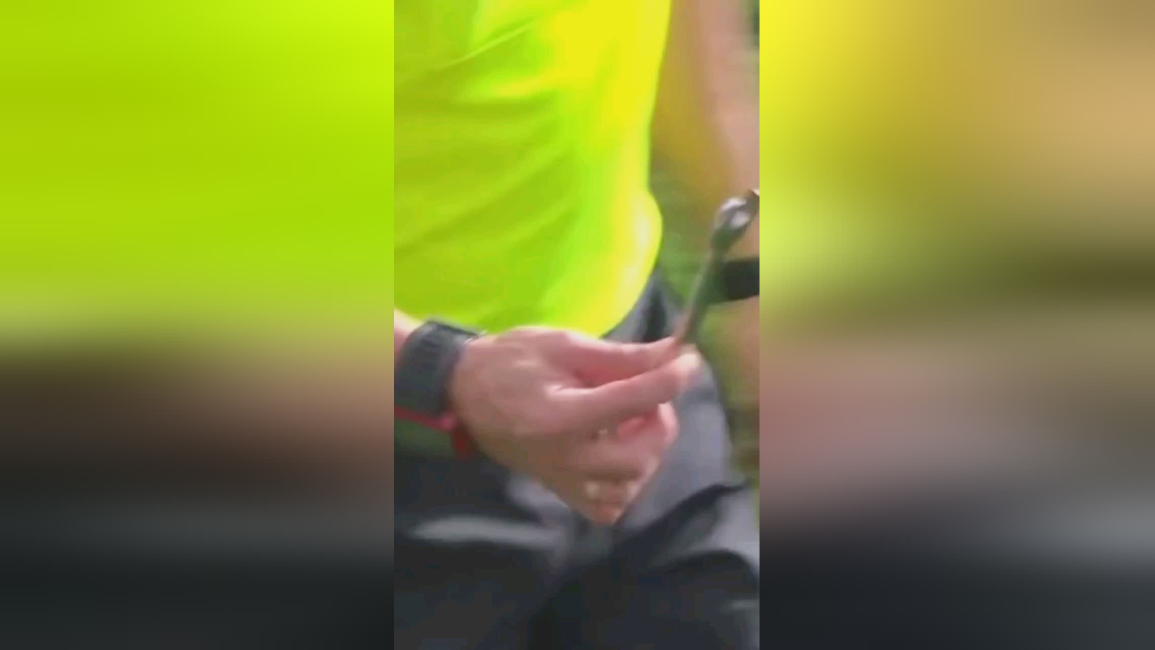 战与